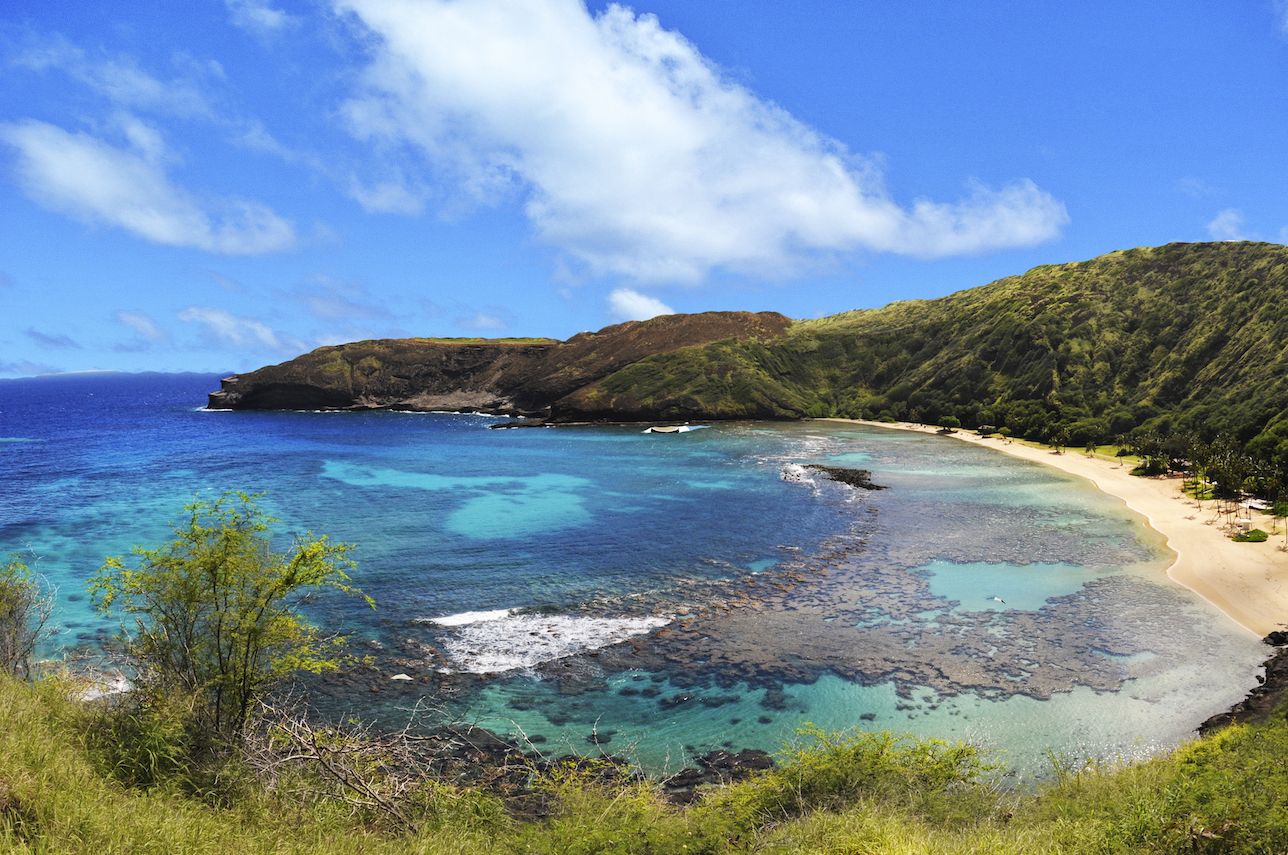 #1 Things To Do In Oahu 