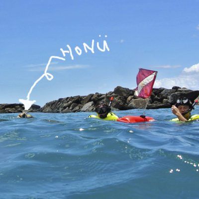swim-wth-sea-turtles-north-shore-hawaii