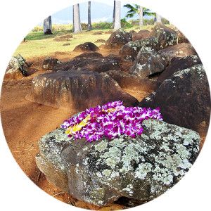 Private Tours Oahu Hawaii Historical Tours 
