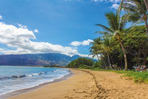 maui-private-tour