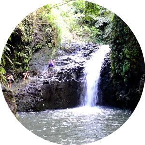 Private Tours Oahu Hawaii Water Fall Hiking Tour