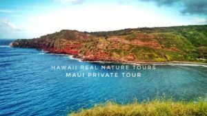 maui-private-tours