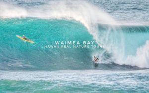 waimea-bay-hawaii