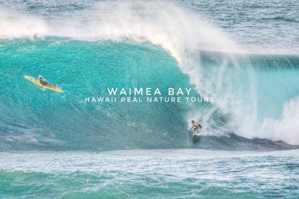 waimea-bay-hawaii