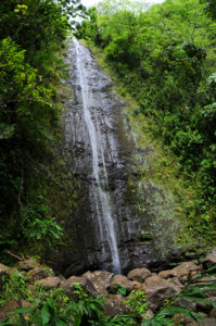 manoa fall